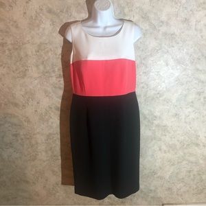 Black Lable Tri-Colored Sleeveless Dress